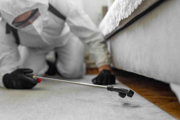 Professional Mosquito Control technician working in Belleville, WI