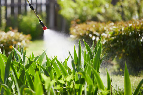 24/7 Emergency Mosquito Control experts in Belleville, WI